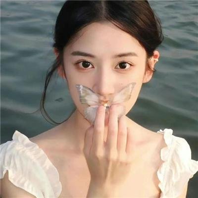血蝶